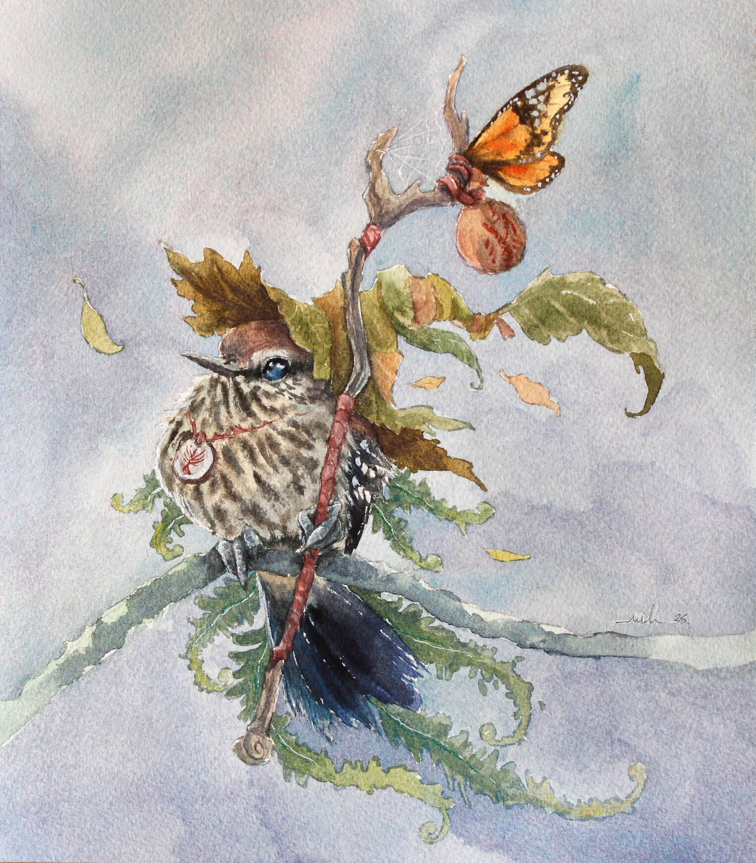 Bicudinho-do-brejo-paulista (Formicivora paludicola)