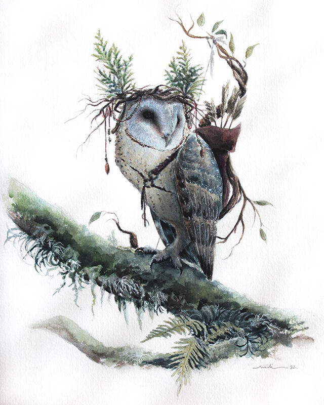 Suindara (Tyto furcata)