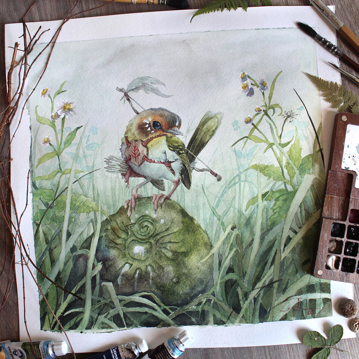 Tororó (Poecilotriccus plumbeiceps)