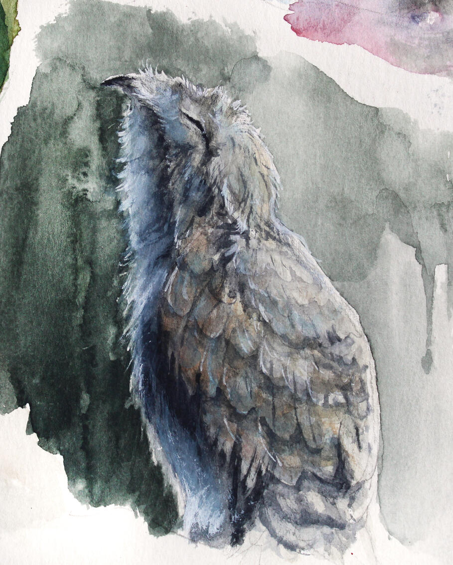 Urutau (Nyctibius griseus)