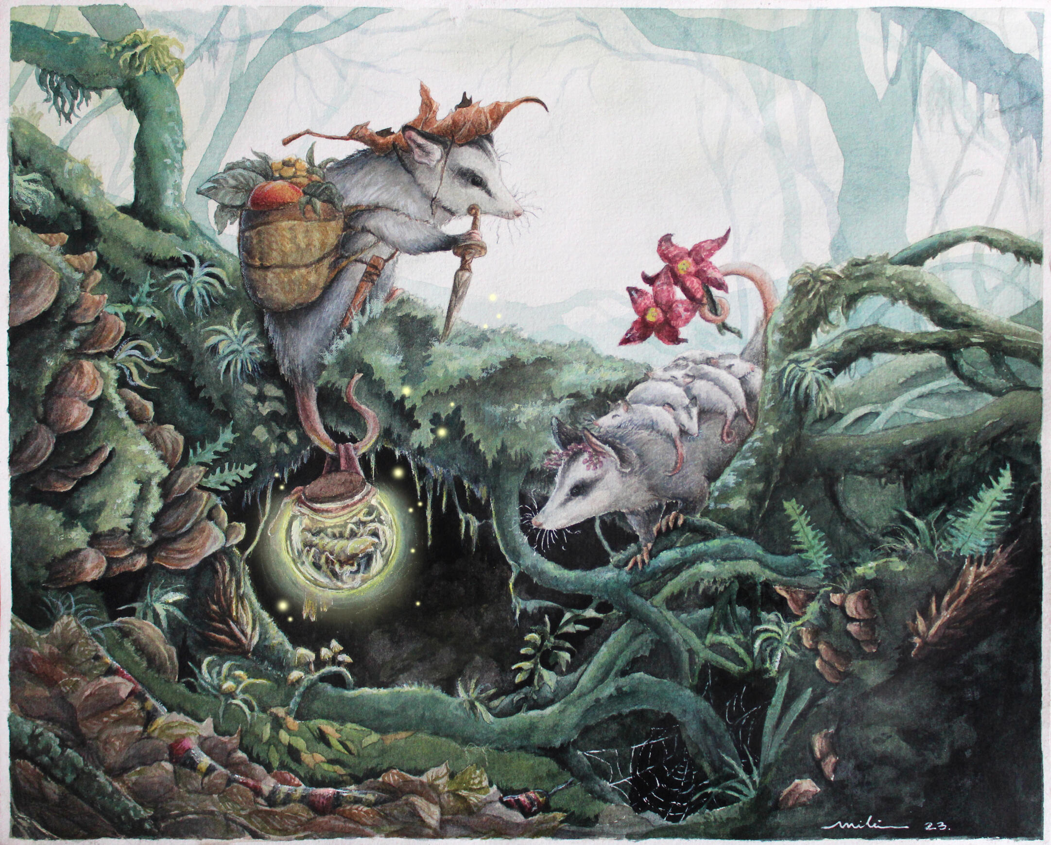 Família Saruê (Didelphis sp)