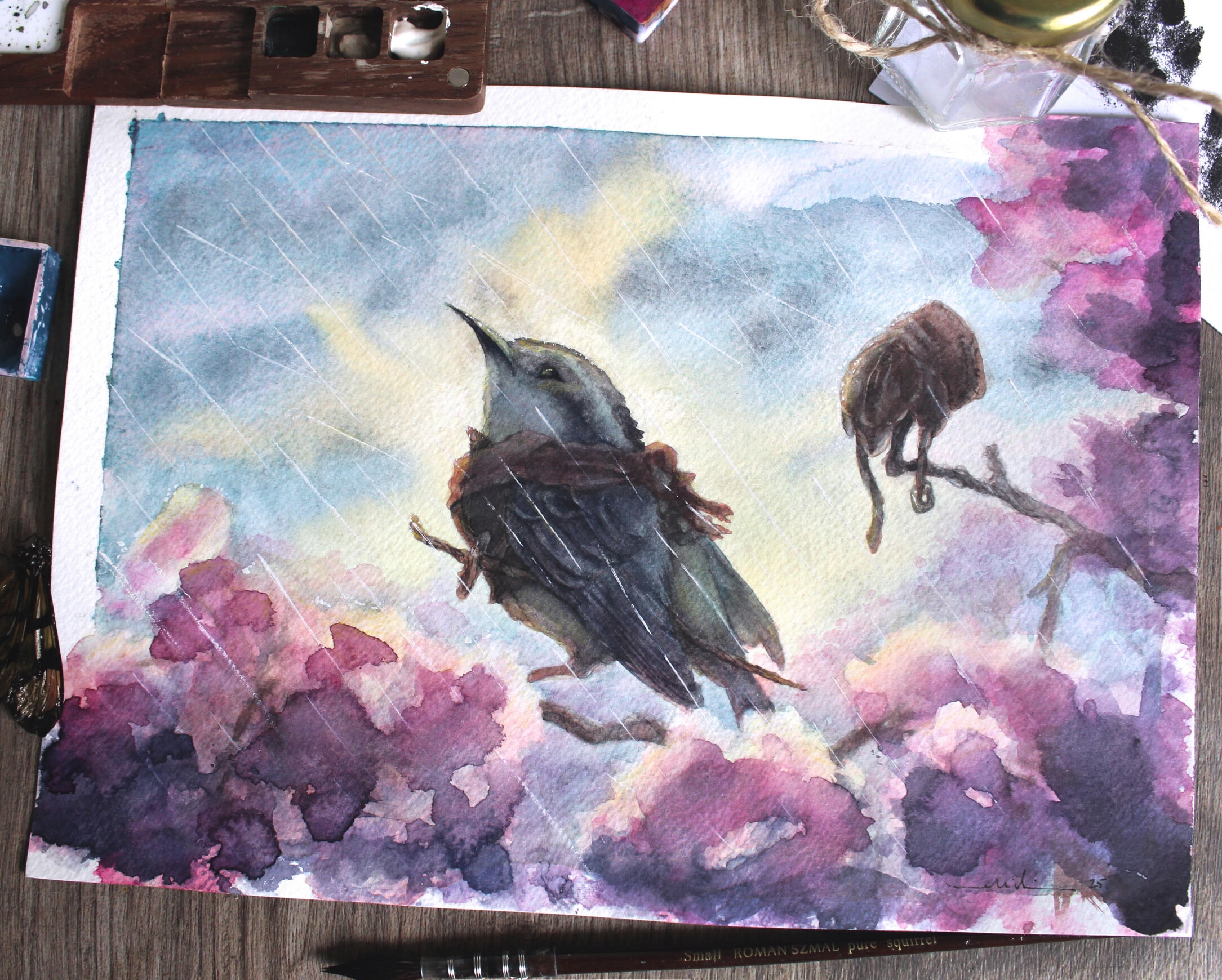 Cambacica (Coereba flaveola)