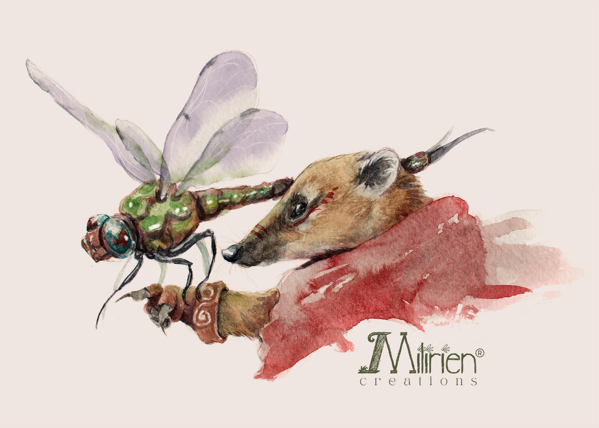 Quati (Nasua nasua) e libélula do gênero Erythrodiplax