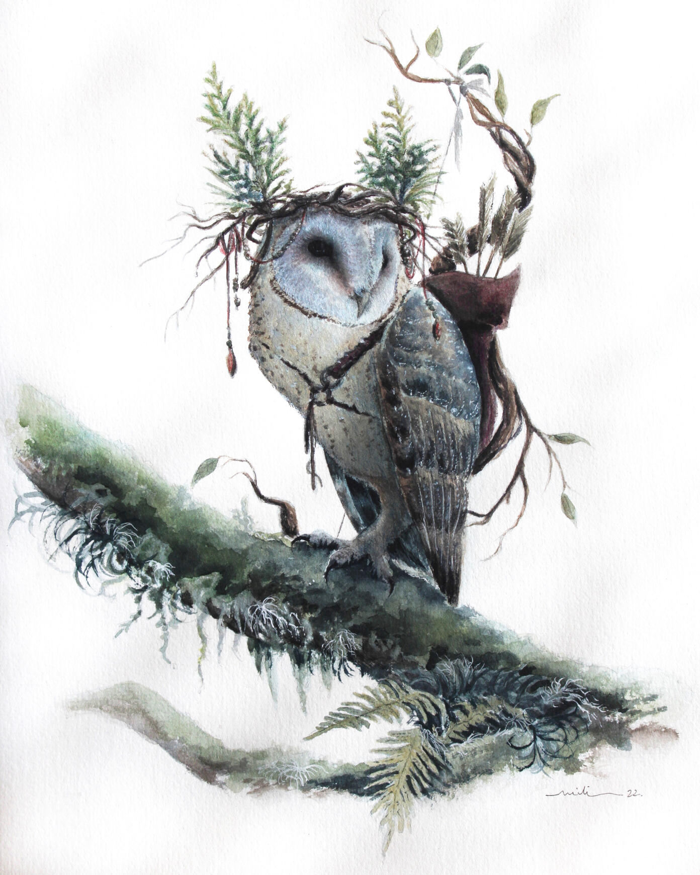 Suindara (Tyto furcata)