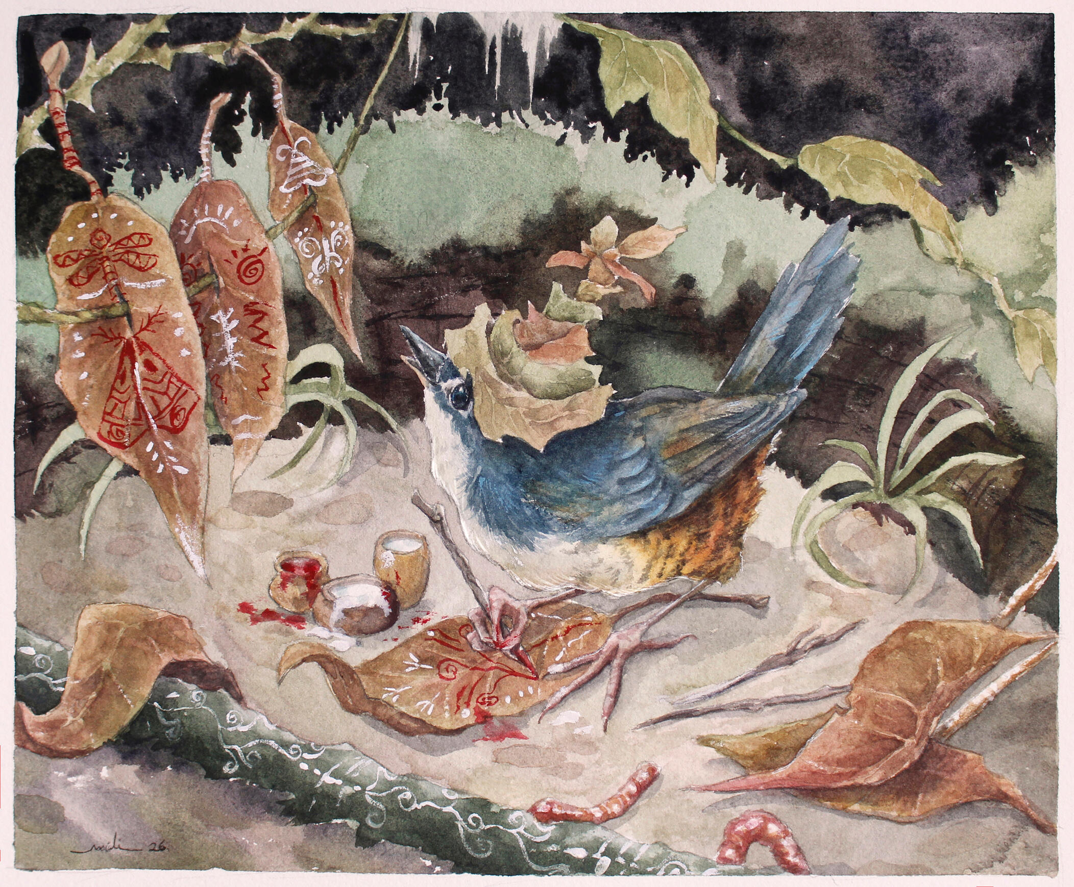 Macuquinho (Eleoscytalopus indigoticus) escritor e artista