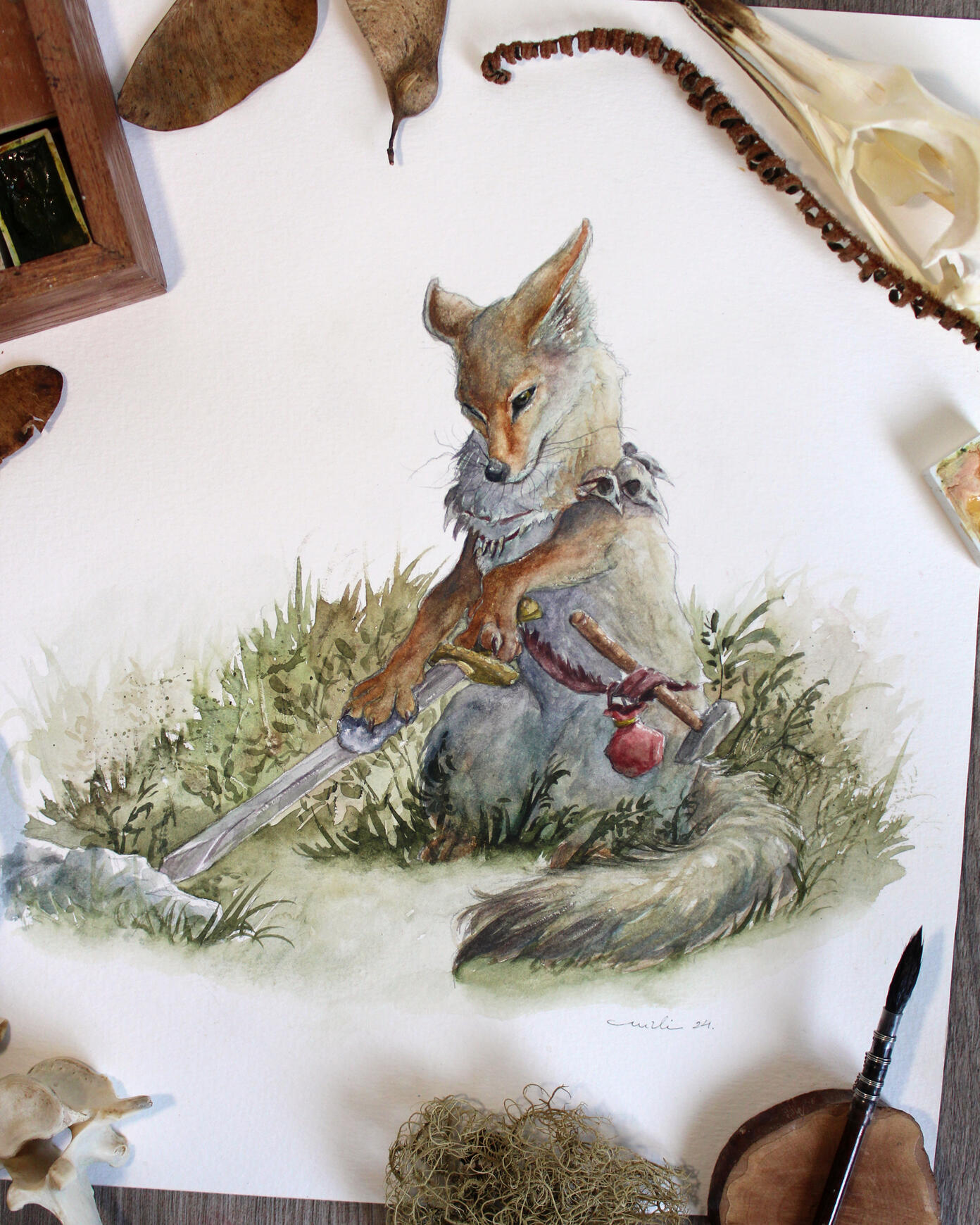 Graxaim-do-campo (Lycalopex gymnocercus)