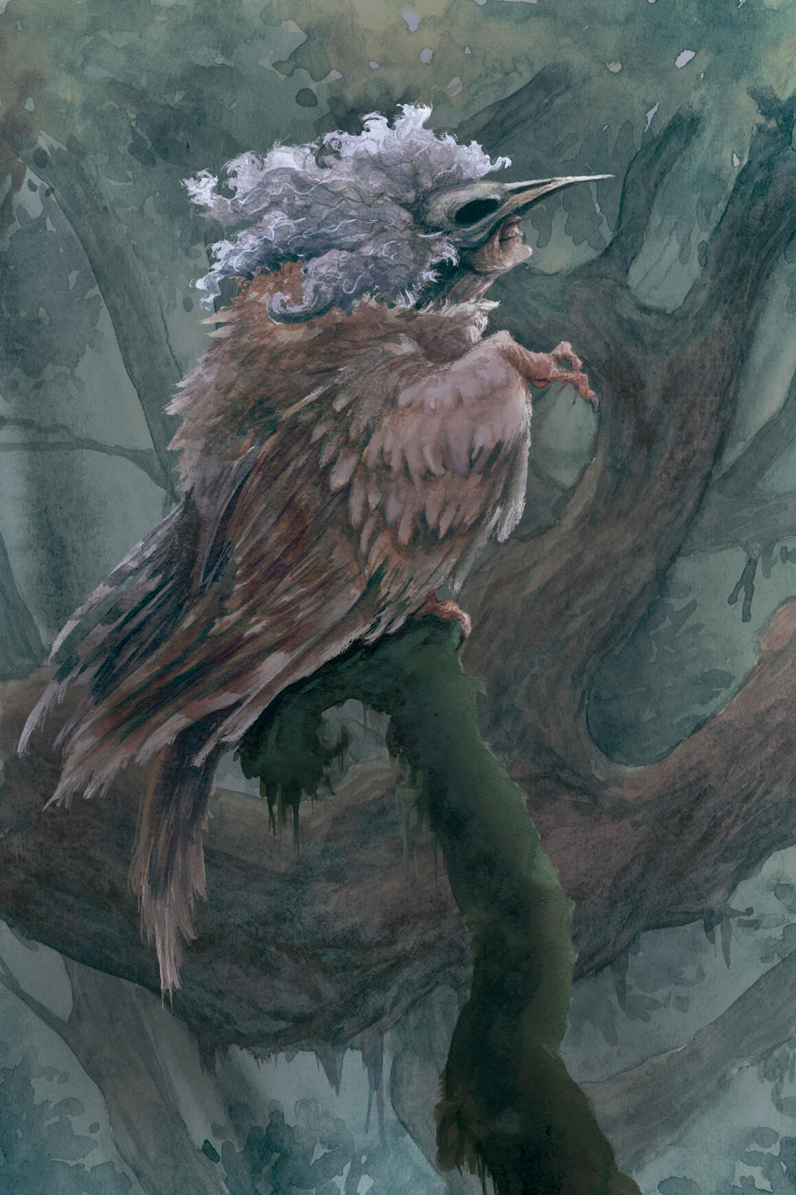 A bruxa do norte Matinta Pereira surgiu na mata em forma híbrida com pássaros