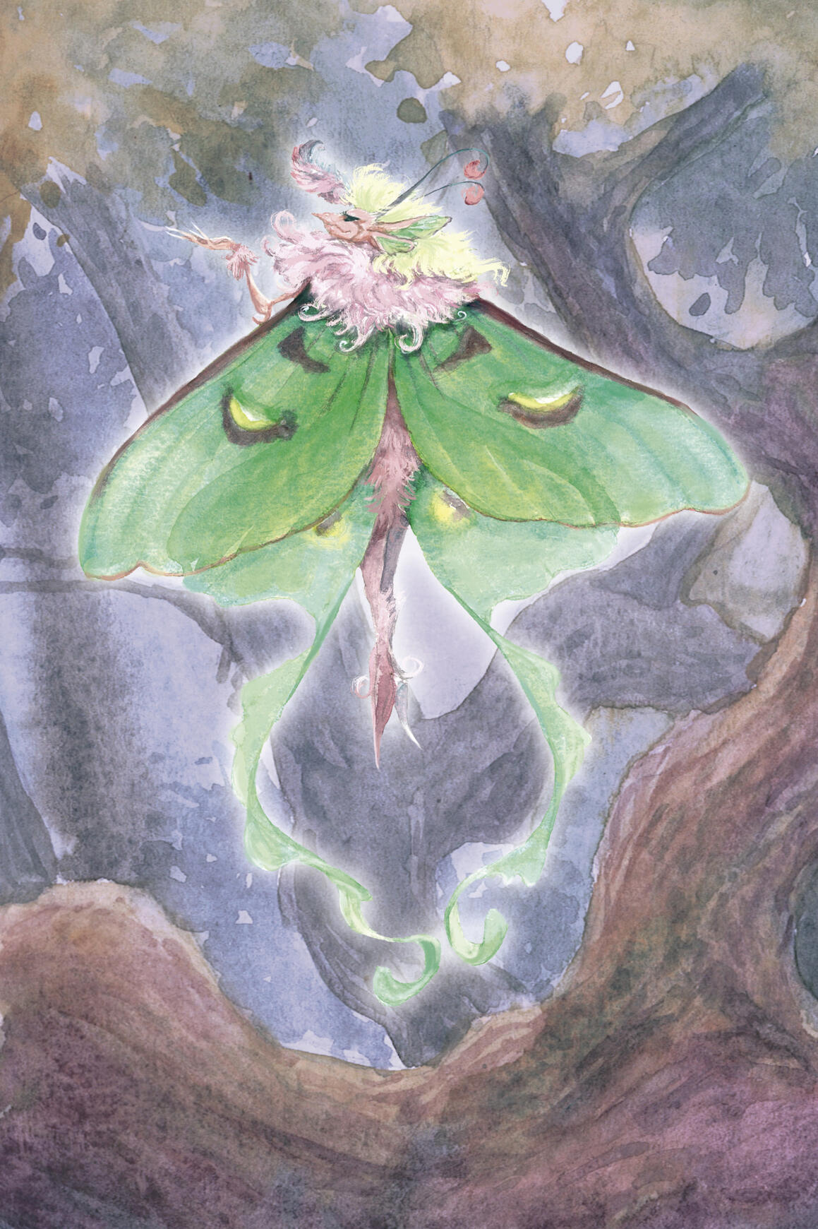 A mariposa-lunar é a estrangeira mais elegante da Árvore