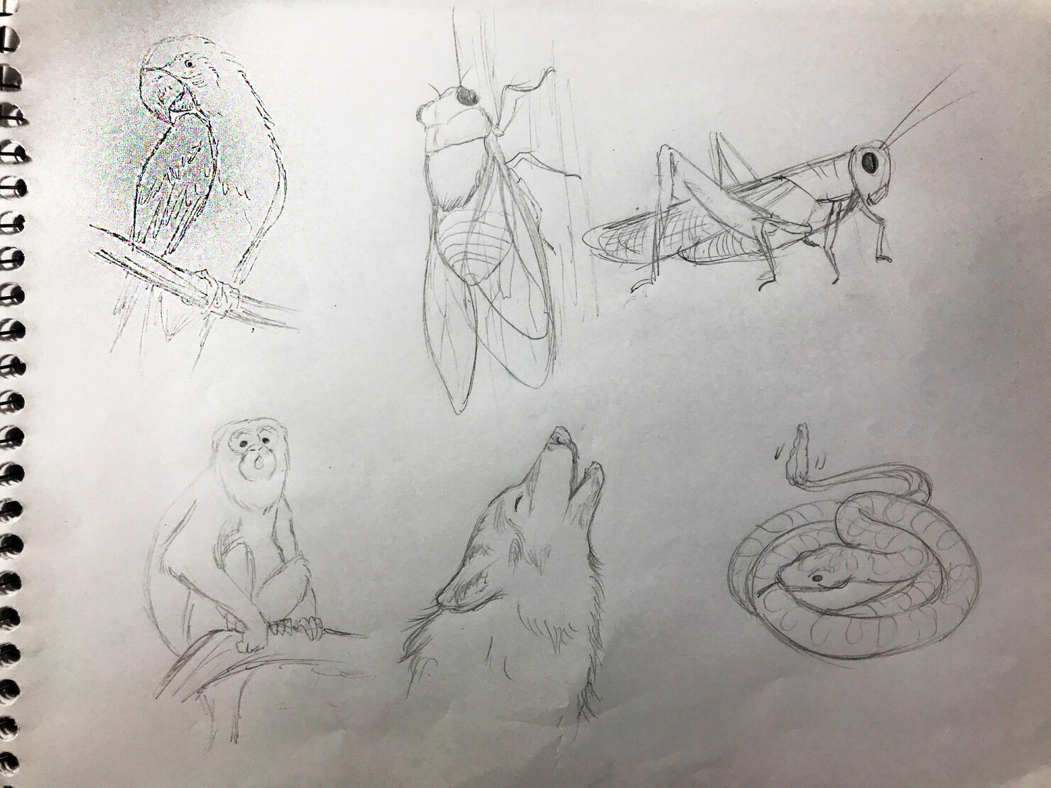 Untitled Untitled