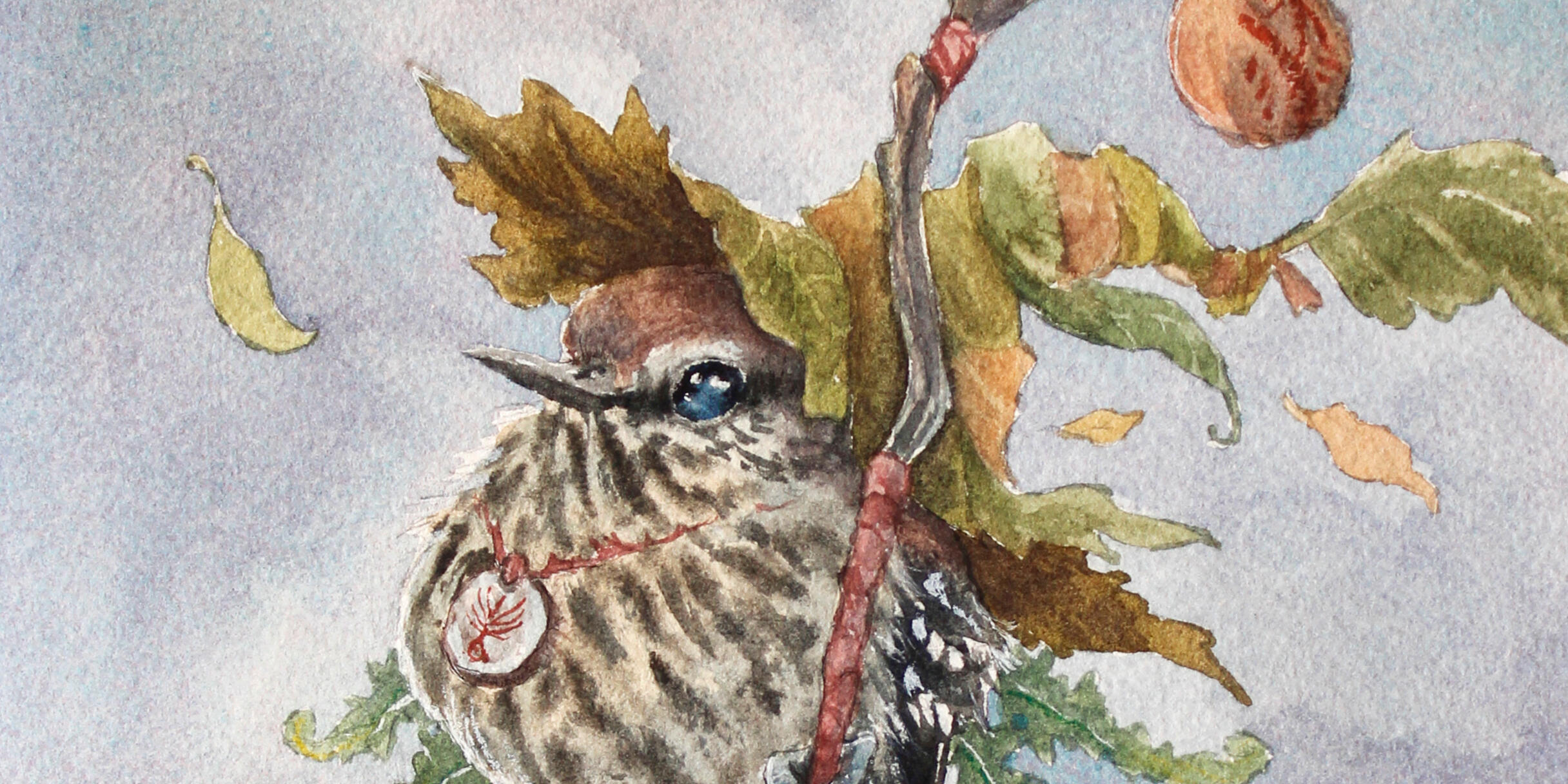 Fantástica Fauna Paulista; 2022-atual