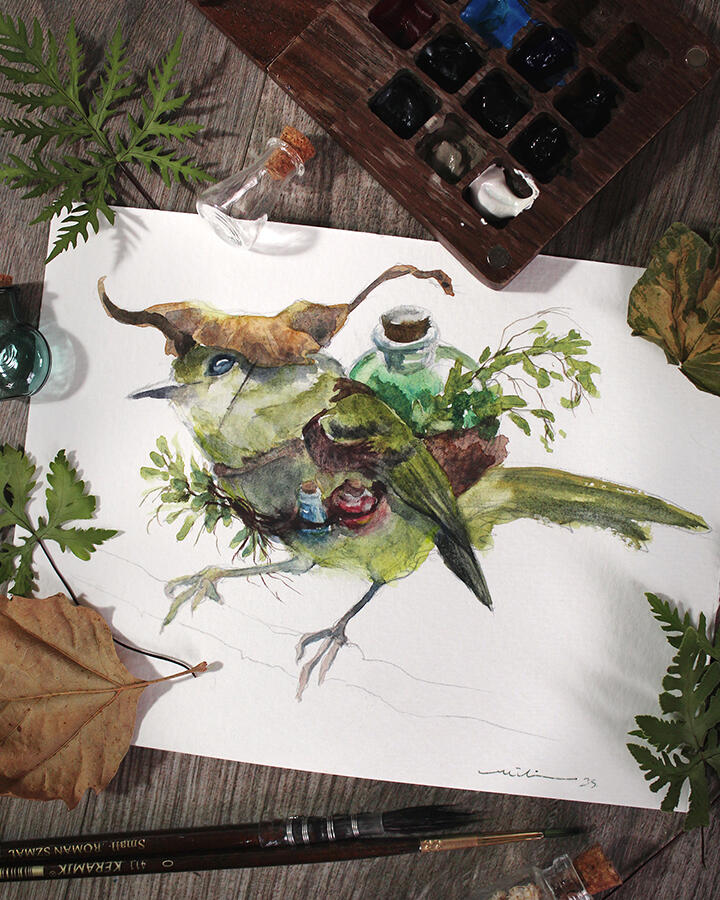 Bico-chato-de-orelha-preta (Tolmomyias sulphurescens), o apotecário