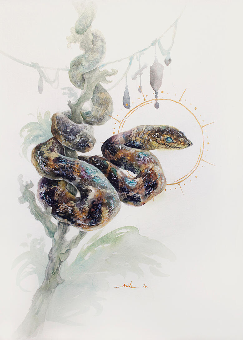 Jiboia-do-Ribeira (Corallus cropanii), a joia mais rara do que um fóssil e, dentre as serpentes, a jiboia mais rara do mundo